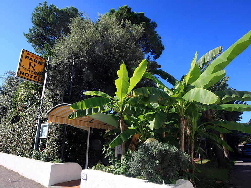 Accommodation Logo