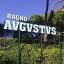 Spiaggia in Versilia, Bagno Augustus Lido