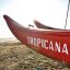 spiagge in versilia, Bagno Tropicana Marina di Pietrasanta