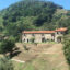 Casale vista mare - Cascinale formato da due unità immobiliari in vendita sulla prima collina di Pietrasanta Cod 1965